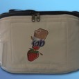 Insulated cool bag for ice lollies